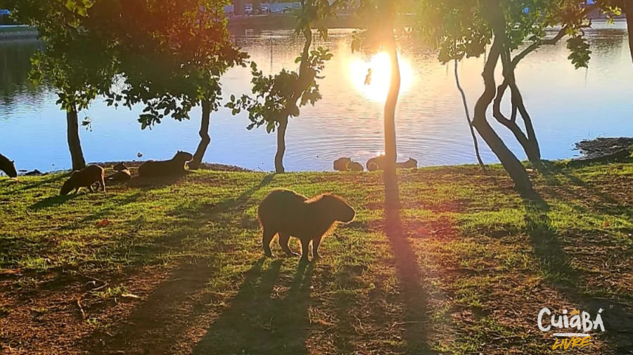 Parque das Águas se consolida como cartão-postal, espaço de lazer e polo cultural em Cuiabá